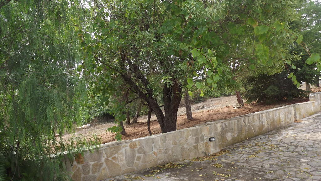 مونوبولي Villa Apollonia B&B المظهر الخارجي الصورة