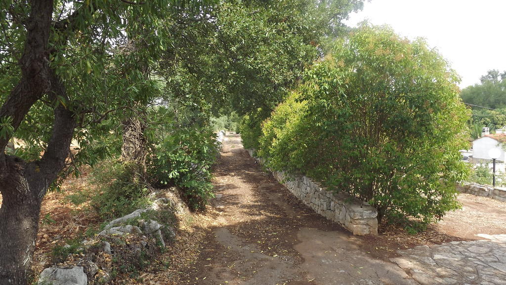 مونوبولي Villa Apollonia B&B المظهر الخارجي الصورة